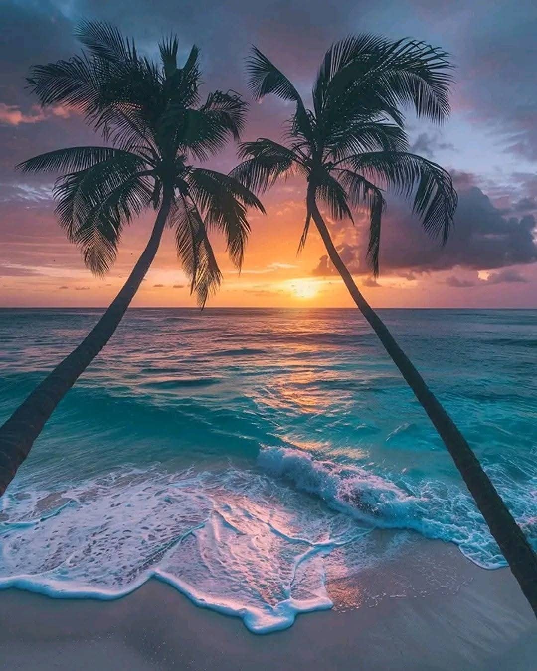 Island Troy at Oasis Naples, Florida